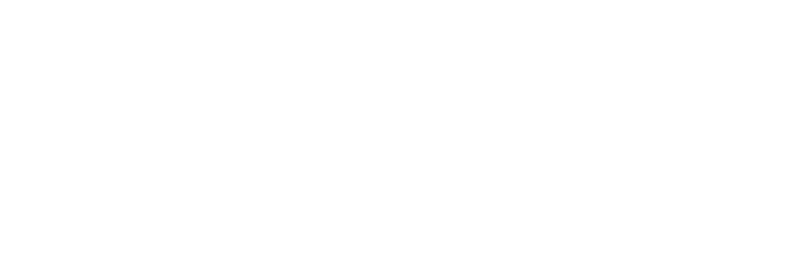 Partner Assessment Corporation