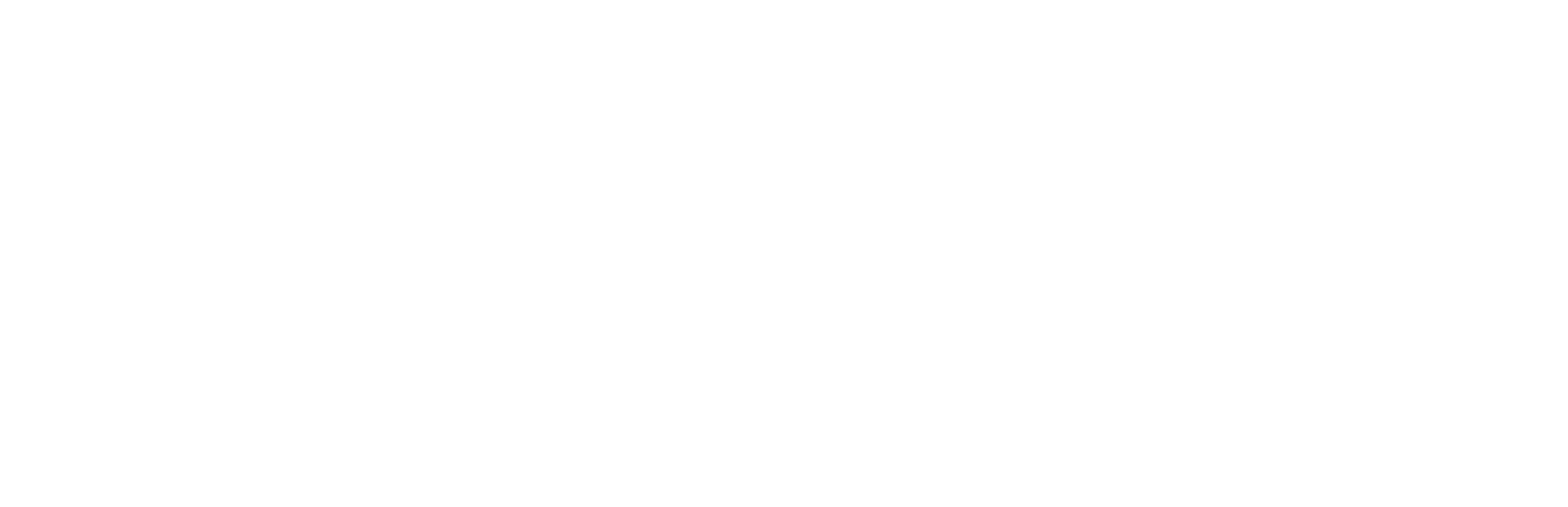 Partner Energy
