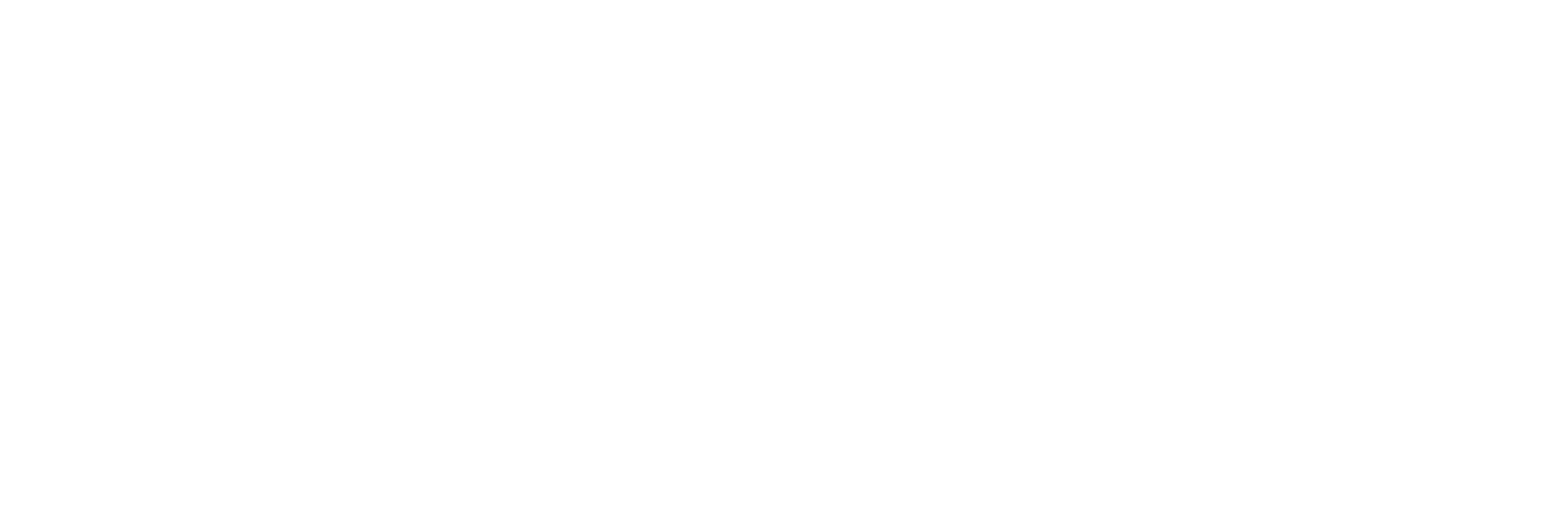 Partner Valuation Advisors